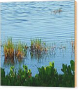 Florida Wildlife Wood Print