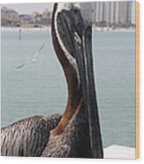 Florida's Finest Bird Wood Print