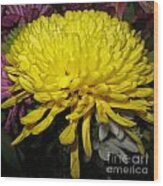 Yellow Queen. Beautiful Flowers Collection For Home Wood Print