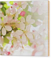 Flower Blossoms Wood Print