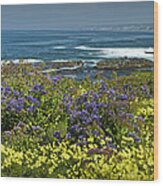 Flowers Along The Shore At La Jolla  California No.0202 Wood Print