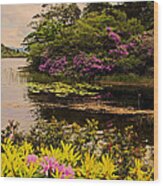 Flowers Of Ireland Lakes Wood Print