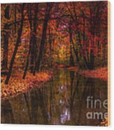 Flowing Through The Colors Of Fall Wood Print