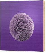 Fluffy Purple Ball, 3d Rendering Wood Print
