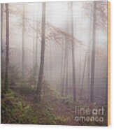 Fog In The Forest Wood Print