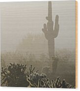 Foggy Desert Wood Print