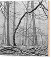 Foggy Morning Deciduous Forest Wood Print