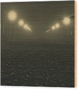 Foggy Night In A Park Wood Print