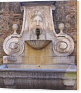 Fontana Del Mascherone Wood Print