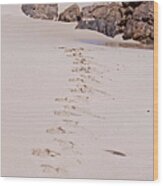 Footprints In The Sand Wood Print