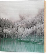 Forest And Pristine Lake Wood Print
