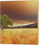 Forest Fire Smoke Over Pasture And Oak Wood Print