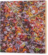 Fall Colored Leaves Wood Print