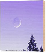 Forest Moon Wood Print