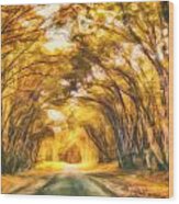 Forest Road Wood Print