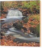 Forest Stream In Autumn Wood Print