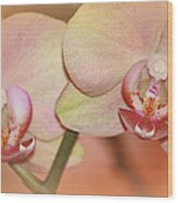 Forever Orchids Wood Print