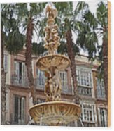 Fountain And Palms - Malaga Wood Print