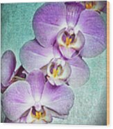 Four Little Orchids Wood Print