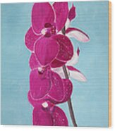 Four Pink Orchids Wood Print
