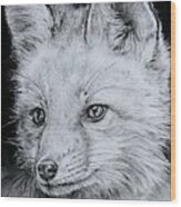 Fox Kit Wood Print