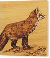 Fox Wood Print