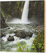 Franklin Falls Wood Print