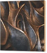 Freeform Metal Wood Print