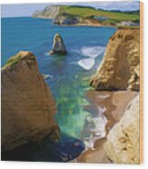 Freshwater Bay Wood Print