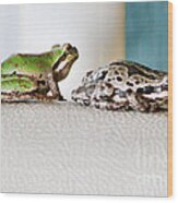 Frog Flatulence - A Case Study Wood Print