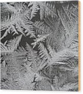 Frost Patterns Wood Print