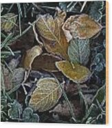Frosty Autumn Leaves Wood Print