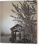 Frosty Morning At Mono Lake Wood Print