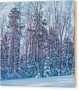 Frozen Winter Wood Print