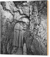 Frozen Waterfall In Carlsbad Caverns Wood Print