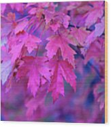 Full Frame Of Maple Leaves In Pink And Wood Print