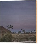 Full Moon At Joshua Tree Wood Print