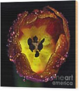 Furnace In A Tulip 2 Wood Print