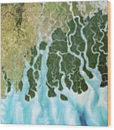 Ganges River Delta Wood Print