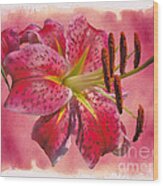 Garden Delight - Stargazer Lily Wood Print