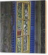 Garden Window Wood Print