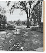 Garden With Fountain Wood Print