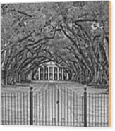 Gateway To The Old South Monochrome Wood Print