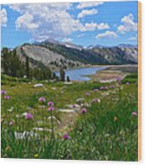 Gaylor Lakes And Wild Onions By Frank Lee Hawkins Wood Print