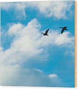 Geese Flying High Wood Print