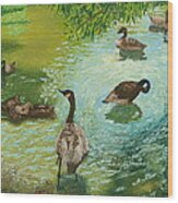 Geese In Water Wood Print