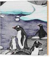 Gentoo Penguins Wood Print