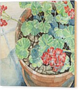 Geraniums Wood Print