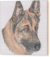 German Shepherd Dog Wood Print