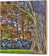 Gettysburg At Rest - Stone Fence Near Old Cyclorama Visitors Center Wood Print